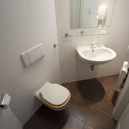 ウ クリジェ 3* プラハ