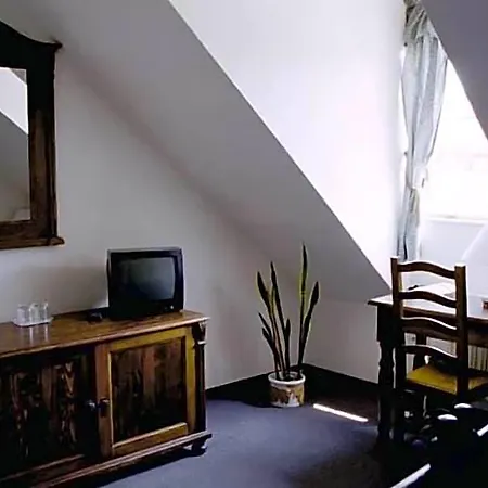 U Krize Hotel Praga
