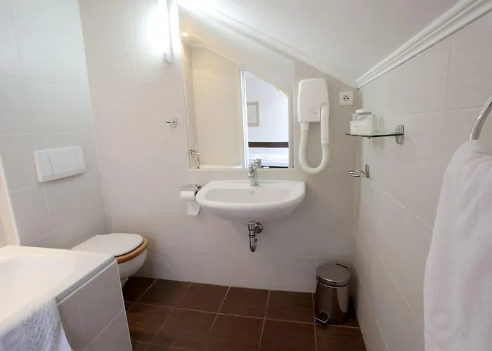 Hotel U Krize